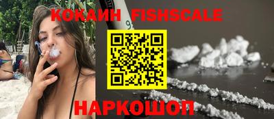 крисы Краснодар