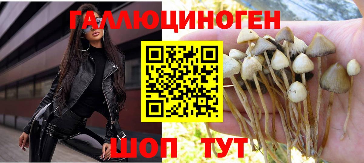 Галлюциногенные грибы Psilocybine cubensis  Вход с VPN  как найти закладки  Заводоуковск 